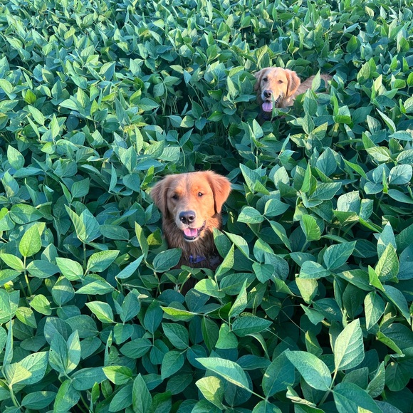 • Wanderlust_wrb is LIVE • Share Show • Like This Listing To Be Notified • - Picture 4 of 11